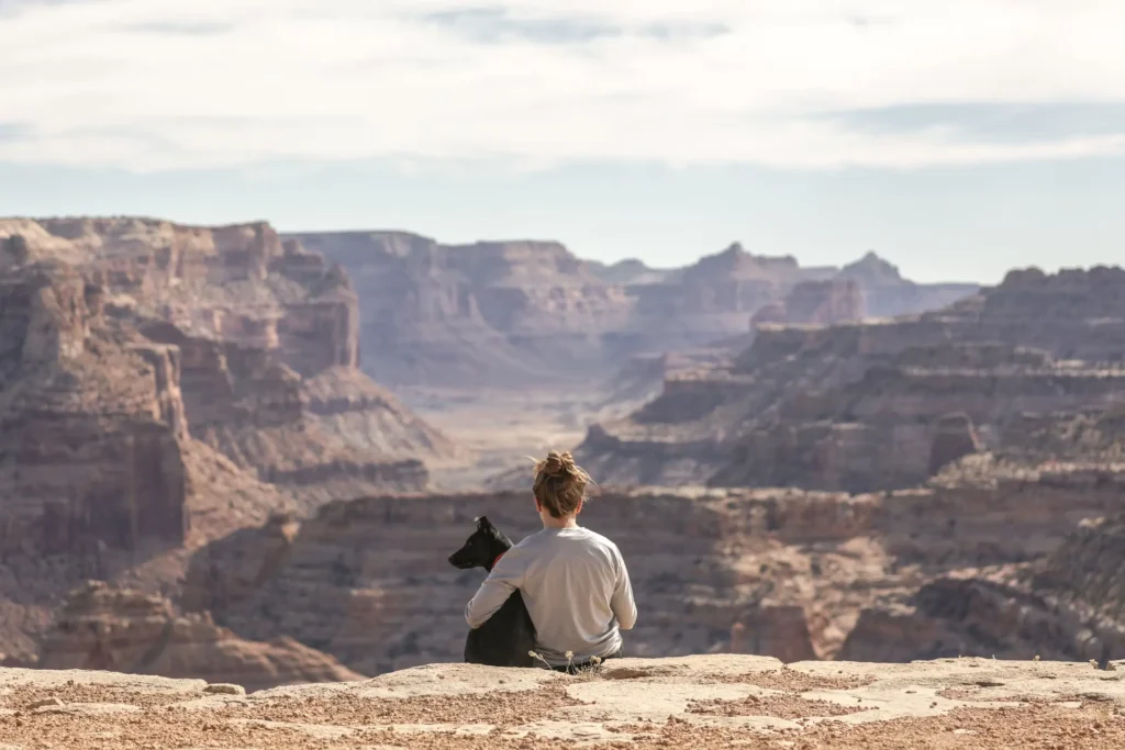 rv travel with pets